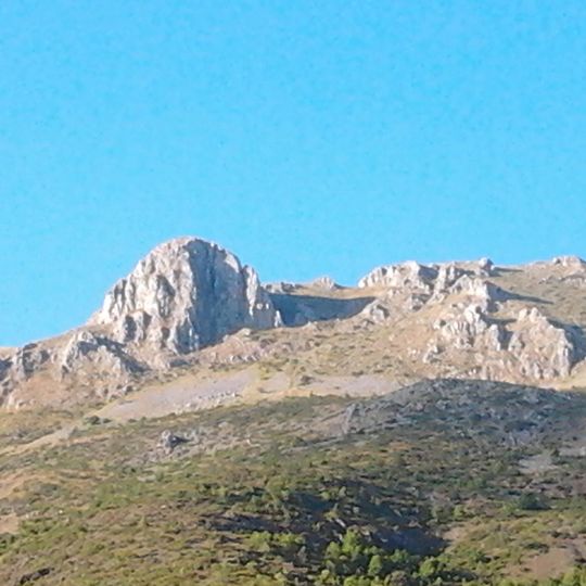 Говедарник