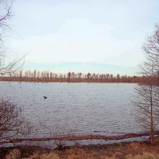 Hovey Lake Fish and Wildlife Area