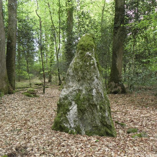 Menhirs dans la forêt de Haute-Sève