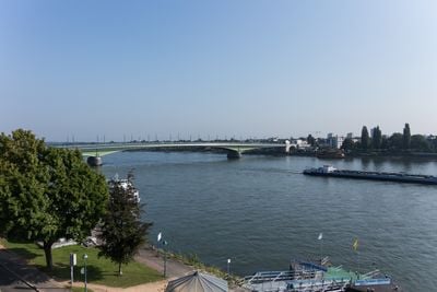 The view 1