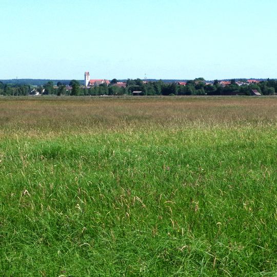 Südliches Federseeried