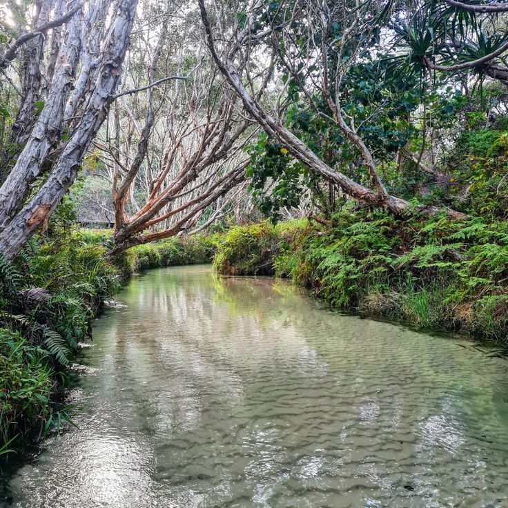 Eli Creek