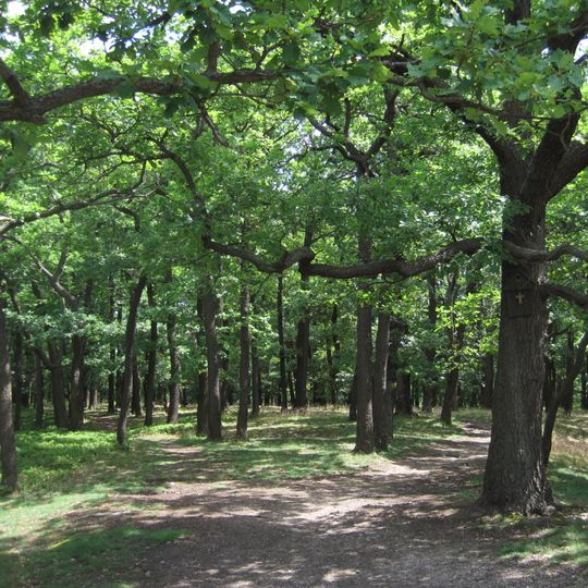 Hill fort Vysoký vrch