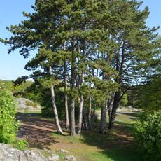 Badehusbukta/Skråvika