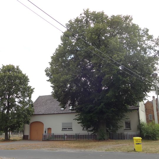 Naturdenkmal Sommerlinde