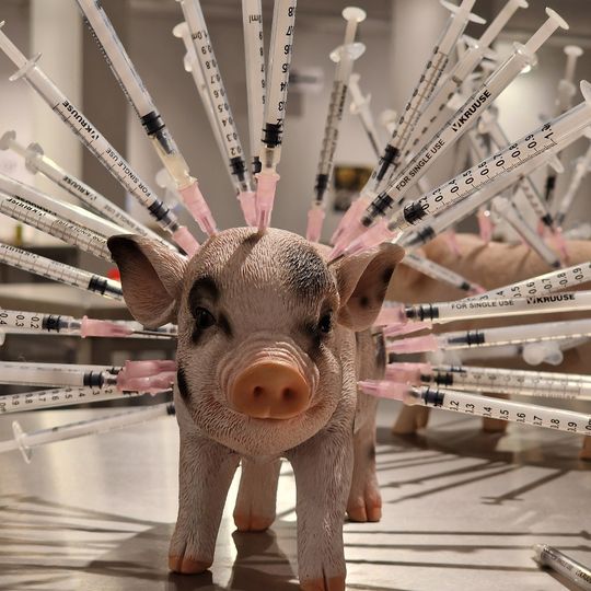 Disgusting Food Museum