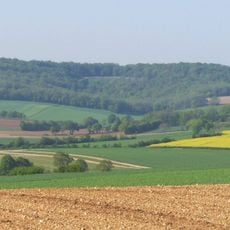 Coteaux calcaires entre les Bouchauds et Marsac