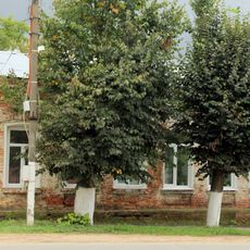 Жилой дом (Боровск)