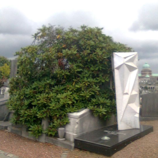 Begraafplaats St. Jans-Molenbeek - Rododendron