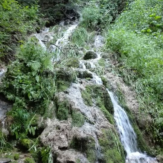 Строги природни резерват Фељешана