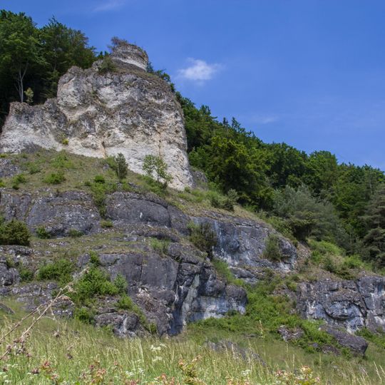 Talhänge Pfahlbuck N von Böhming