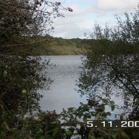 Sowley Pond