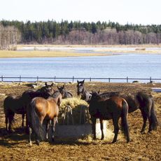 Västra Järvafältet