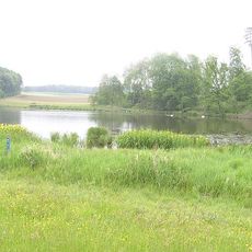 Morgetshofsee