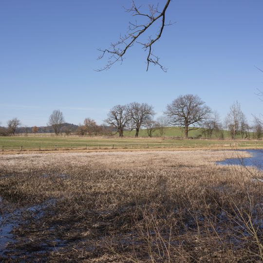 Vlčkovice – Dubský rybník