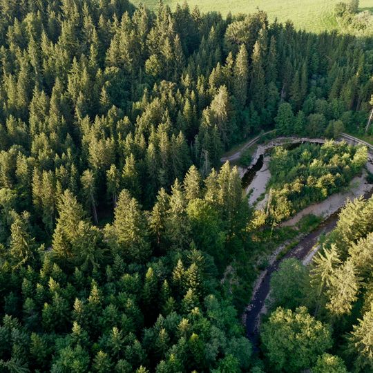 Wielenbach-Mäander S von Birkland