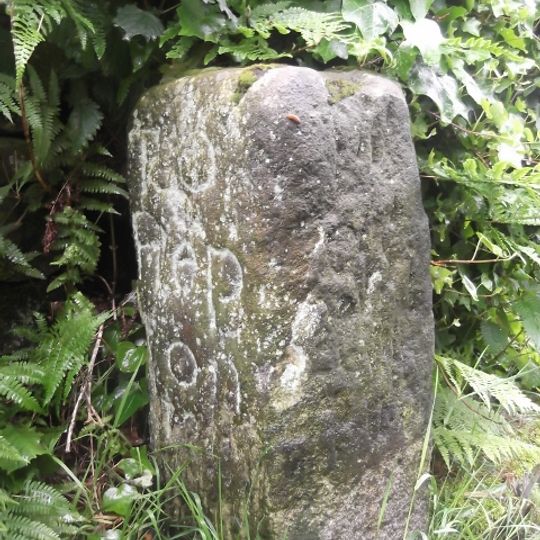 Milestone Opposite Number 21 At Ngr Sd 956235