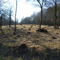 Zone Humide Du Moulin De Velving Téterchen