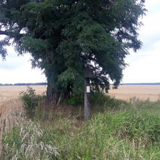 Boží muka severně od Březnice