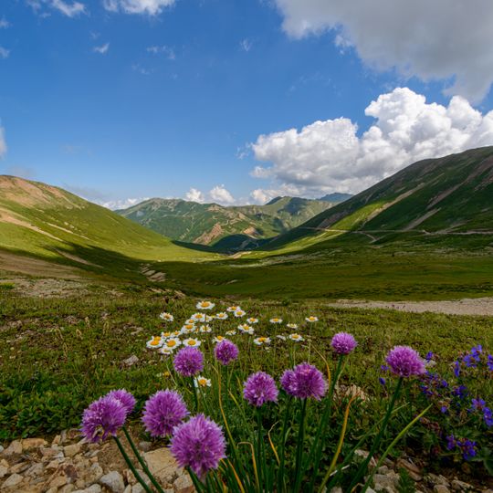 Camili Biosphere Reserve