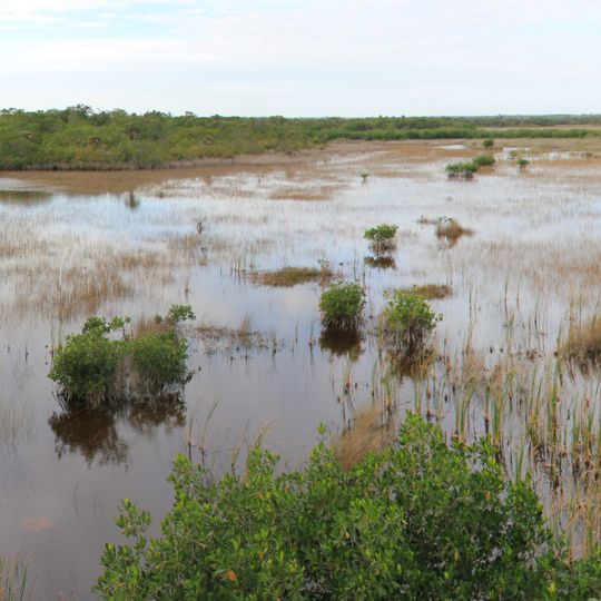 Ten Thousand Islands National Wildlife Refuge
