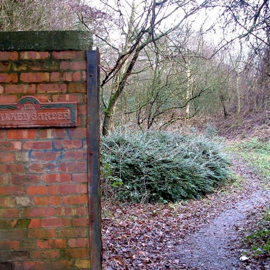Birchwood