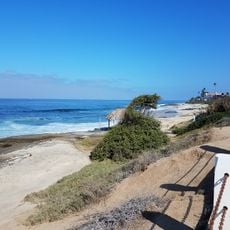 Windansea Beach