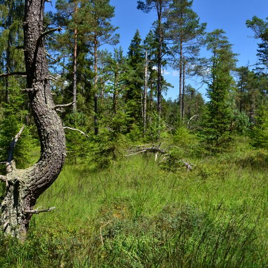 Multerberské rašeliniště