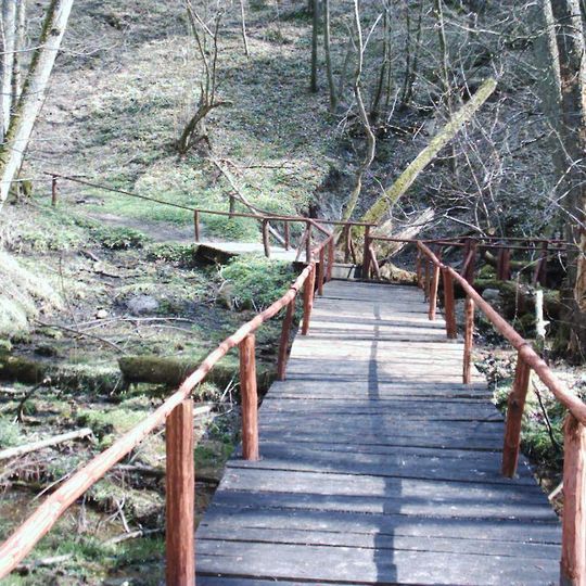 Rezerwat przyrody Źródła Rzeki Łyny