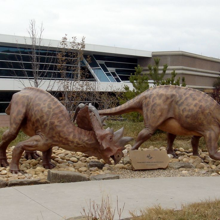 Royal Tyrrell Museum