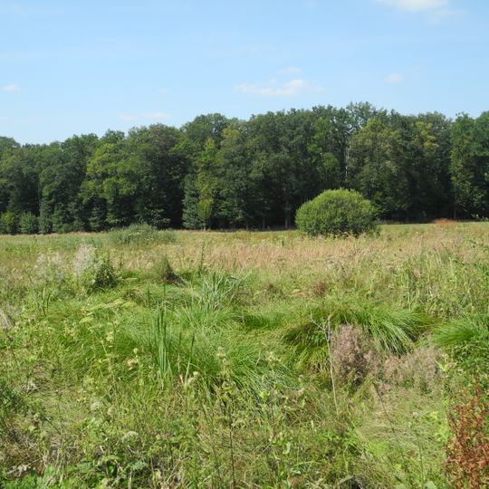 Sumpfwiese am Wattenberg