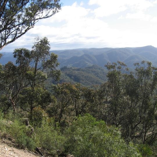 Nattai National Park