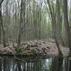 Naturschutzgebiet Erlensee bei Erlensee