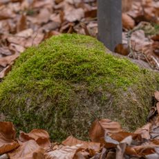 Grenzstein Sperberstraße 199 in Fürth