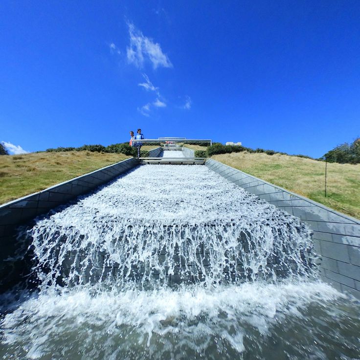 Jardines Centenarios McGovern