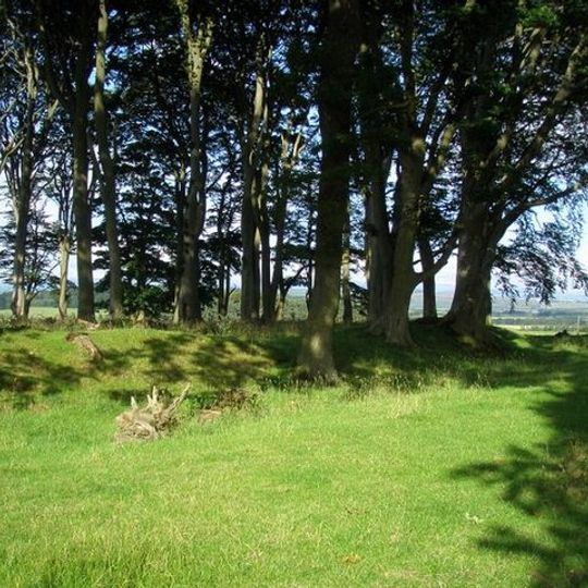 Defended settlement, 100m north west of Chester Cottage
