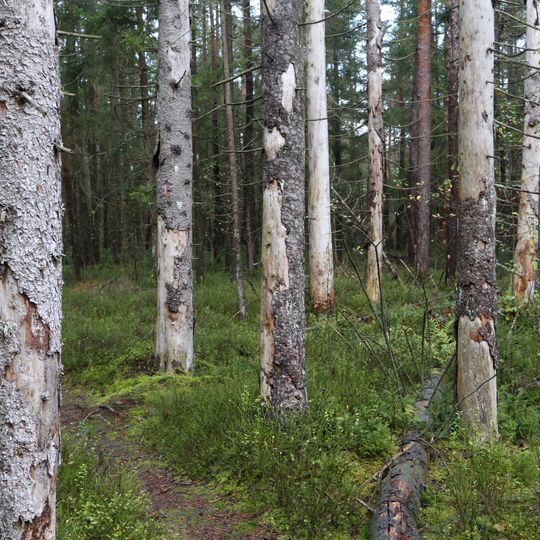 Inschutznahme des Litzelsees und seiner Umgebung als LSG