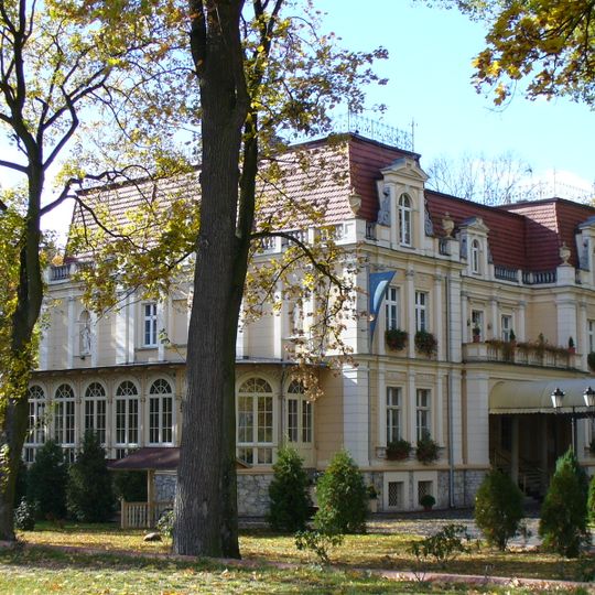 Pałac, Zamkowa 1 w Niewodnikach