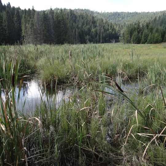 Wielkie Jezioro Osturniańskie