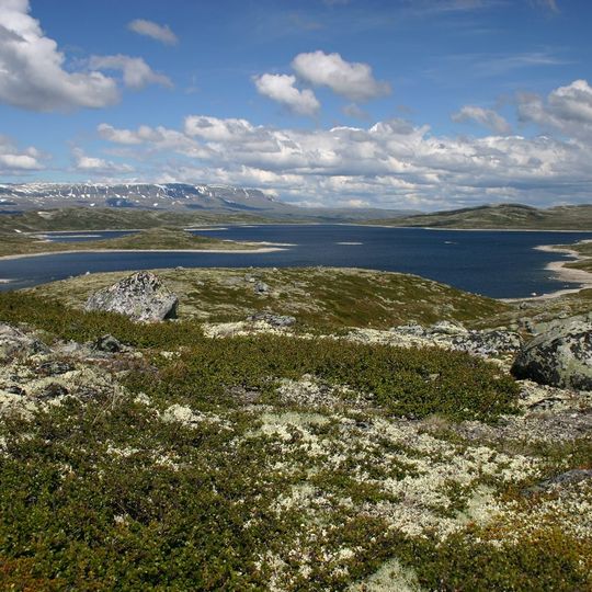 Hardangervidda National Park