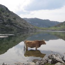Lake Enol