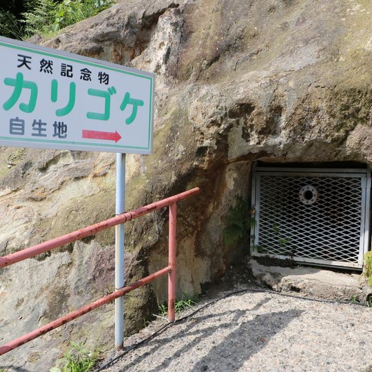 Yoshimi Hyakuana Hikarigoke Hasseichi