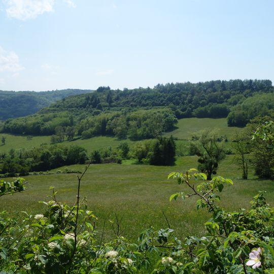 Regional nature reserve of côte de Mancy