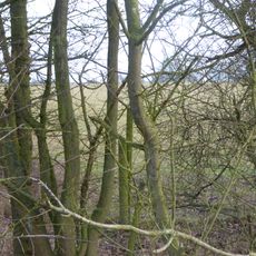 Sudborough Green Lodge Meadows