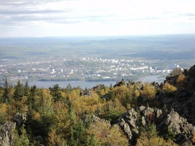 The view 1