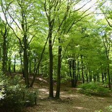 Schwarzer Berg