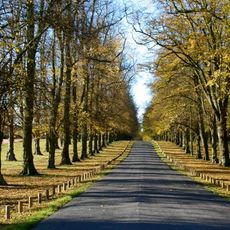 Clumber Park
