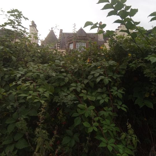 The House Of Narrow Gates With Outbuildings And Garden Structures