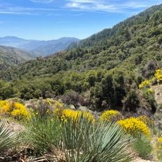 Forêt nationale d'Angeles