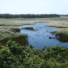 Ikema Wetland